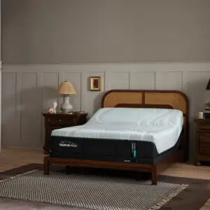 Tempur-Pedic Pro Adapt Soft