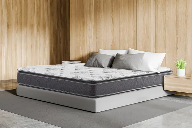 Carson Pillow Top