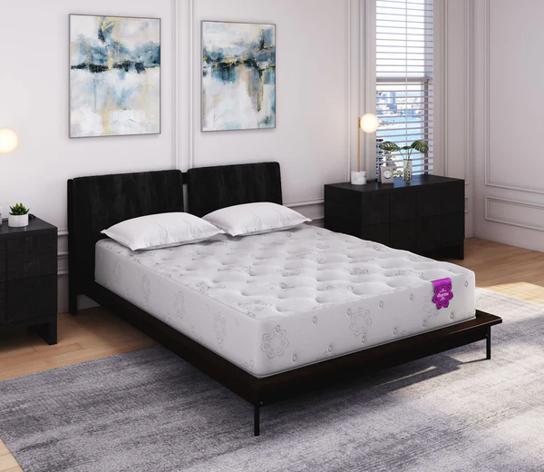 Dharma Elite Plush mattress on a modern bed frame with decorative pillows, surrounded by stylish furniture and artwork, highlighting luxury and comfort features.