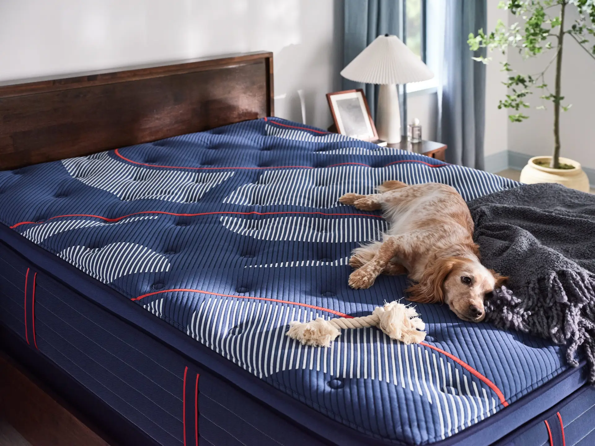 Sealy Brenham Medium Euro Pillow Top - Image 2